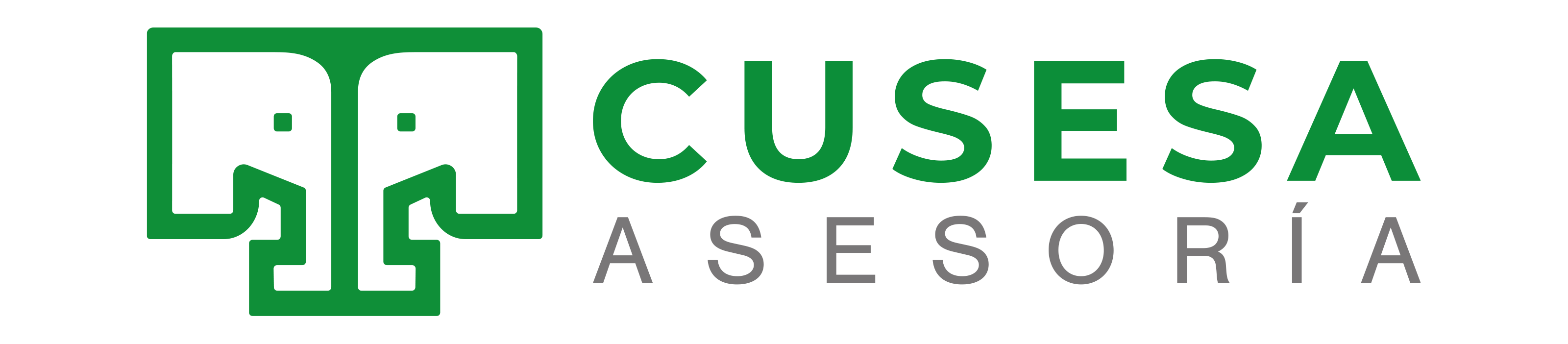 CUSESA - CON SEGURIDAD AL ÉXITO
